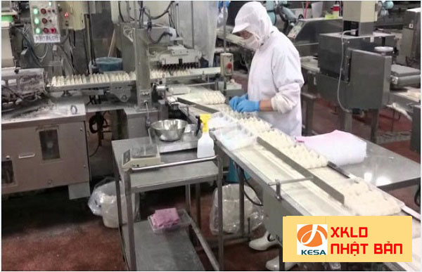Đơn hàng chế biến thực phẩm nhật bản 2022 làm bánh bao XKLĐ Nhật Bản tại Yamagata , xuất khẩu lao động nhật bản 2022, xkld nhật bản 2022