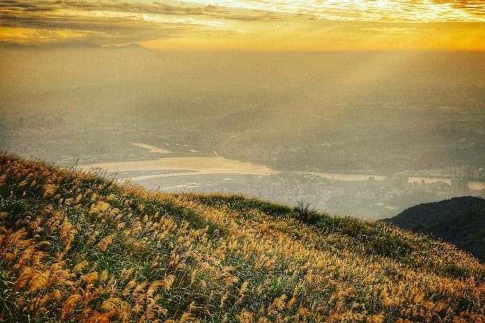 DU LỊCH ĐÀI LOAN Kinh nghiệm cần thiết khám phá công viên quốc gia Dương Minh Sơn (Yangmingshan)