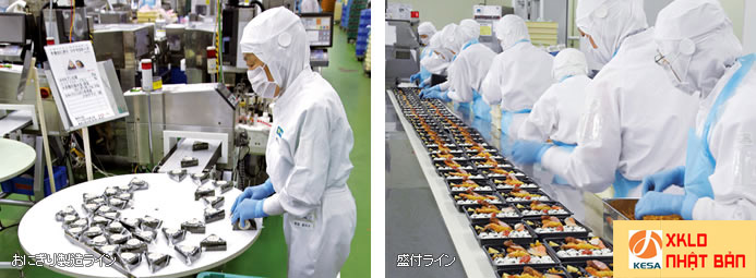 ĐƠN HÀNG NHẬT BẢN 2022 ,Tuyển gấp 75 nam,nữ làm cơm nắm lương cao tại Chiba Nhật Bản , ĐƠN HÀNG CƠM NẮM NHẬT BẢN 2022 , xuất khẩu lao động nhật bản 2022, xkld nhật bản 2022