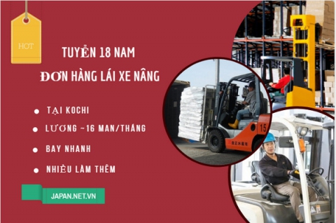 ĐƠN HÀNG NHẬT BẢN 2022 TUYỂN 40 CÔNG NHÂN LÁI XE , Lái xe công trình Laí xe nâng Lái xe ủi Lái máy xúc nhật bản 2022 , đơn hàng lái xe nâng nhật bản 2022 , đơn hàng lái xe xúc xe ủi nhật bản 2022 