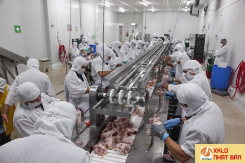 XUẤT KHẨU LAO ĐỘNG NGÀNH CHẾ BIẾN THỊT BÒ, LỢN TẠI NHẬT BẢN , xuất khẩu lao động nhật bản 2022, xkld nhật bản 2022