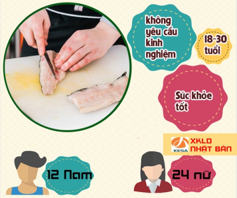 ĐƠN HÀNG NHẬT BẢN 2022 Tuyển gấp 36 Nam nữ đơn hàng chế biến chả cá tại Kanagawa Nhật Bản, đơn hàng chế biến cá nhật bản , đơn hàng chế biến cá nhật bản 2022