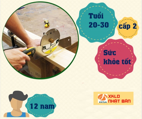 ĐƠN HÀNG NHẬT BẢN 2022 ,Đơn hàng chế biến gỗ tại Kanagawa Nhật Bản cần tuyển 12 Nam - LƯƠNG CAO, XUẤT CẢNH NHANH, đơn hàng gỗ nhật bản 2022