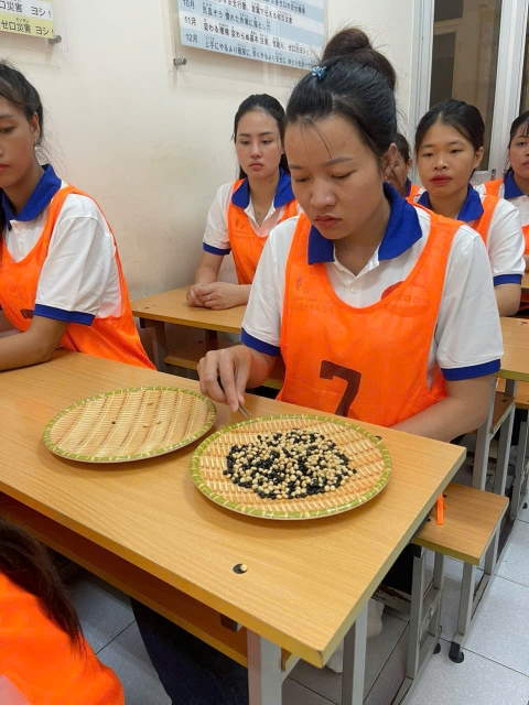 XKlĐ đài loan miễn phí 2024 các đơn hàng hót nhất ?? XKlĐ đài loan miễn phí 2024 các đơn hàng hót nhất ??